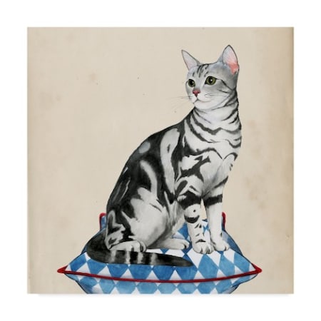 Trademark Fine Art Grace Popp 'Lady Cat I' Canvas Art, 14x14 WAG06533-C1414GG